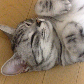 ちょっとかまってみる、そらの画像