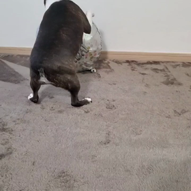 おしゃべり！の画像