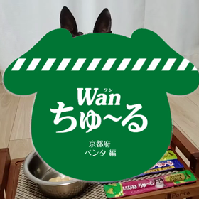 抜け毛の画像