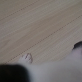 毛が…の画像