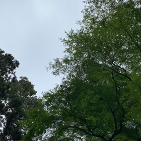 貴船の神さん①の画像