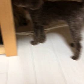 今年もの画像