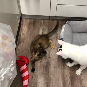 仲良くなりたいですの画像