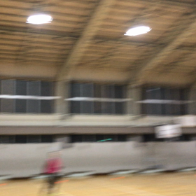 岩手県盛岡市の個サルの画像