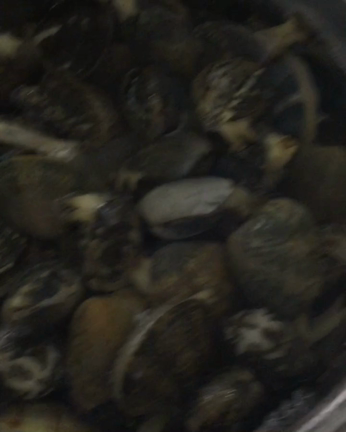 田原ならではの物々交換♪の記事動画
