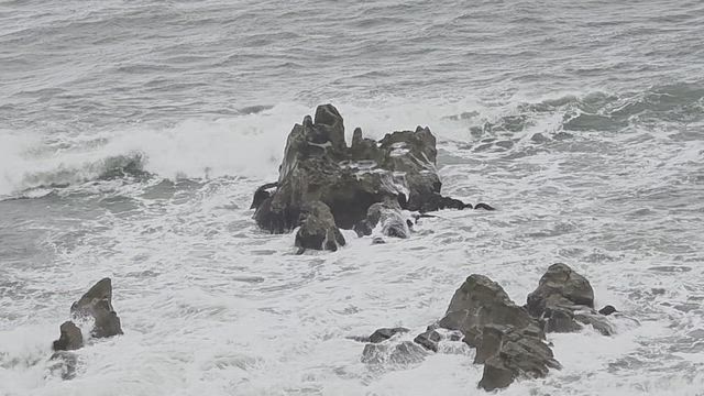 旅の記事動画