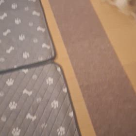 2日目の画像