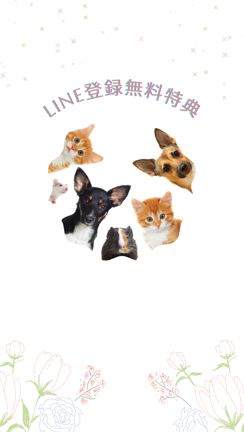 インナーピースアニマルヒーリングの無料施術！！LINE無料登録特典♡の記事動画