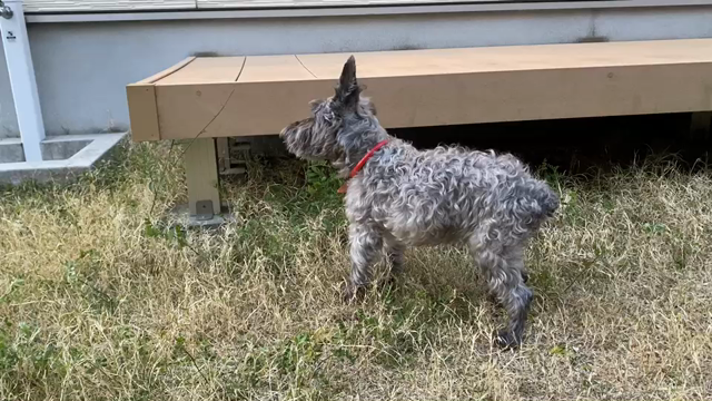 3ヵ月の記事動画