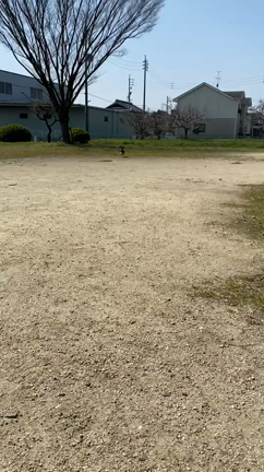 つなの記事動画