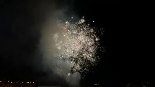今日はイブの記事動画