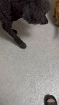 家族になって2週間の記事動画