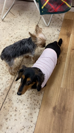 2021.01.05の記事動画