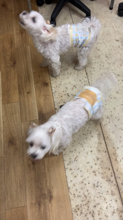 2020.12.02の記事動画