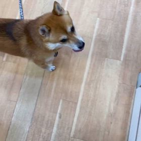 2024/08/31の画像