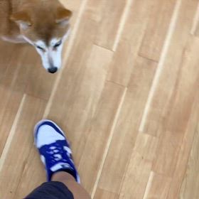 2024/08/31の画像