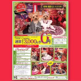 2024/08/28の画像