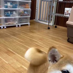 2024/08/30の画像