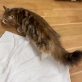2024/08/28の画像