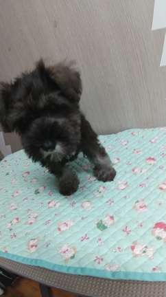 わたしのほっと一息つける時間の記事動画