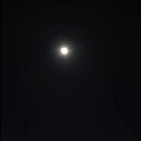 昨夜は～の画像