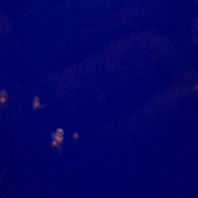 小樽水族館3の画像