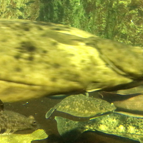 小樽水族館 2の画像