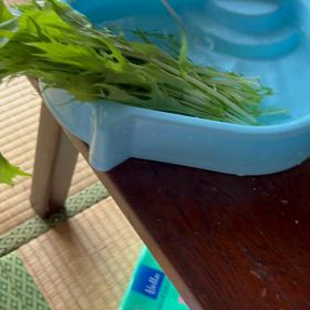 もっと水をたっぷり入れてあげれば良かったの画像