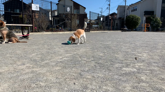 暖かい週末の記事動画