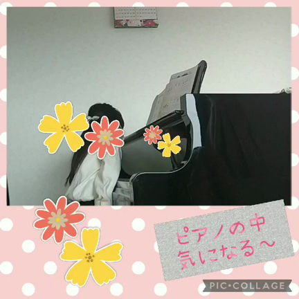ピアノの中気になるね！の記事動画