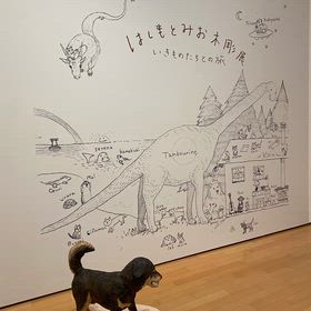 はしもとみおさんの木彫展へ♬.*ﾟの画像
