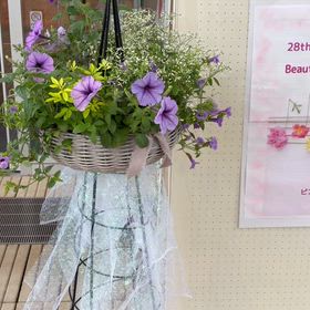 ピアノ発表会♬.*ﾟ28th Beauty＆Harmony 2026 終わりましたの画像