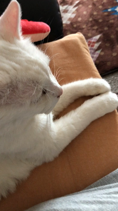 左手伴奏の役割の記事動画