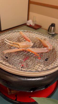 シュールな動画集の記事動画