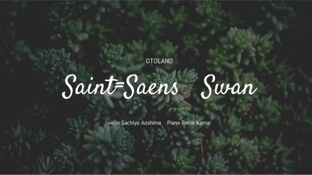 saint=saensの記事動画