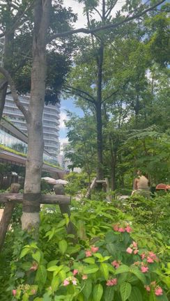 スタインウェイ＆サンズ東京　高崎市ピアノ教室ハーモニーの記事動画