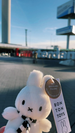 オランダ旅♡の記事動画