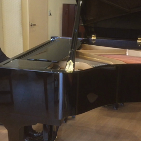 Improvisation played on a PETROF P159Boraの画像
