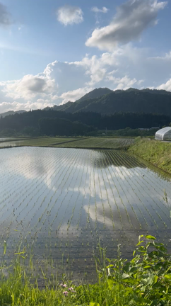 金山町komorebiマルシェ♪の記事動画