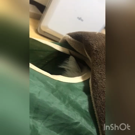 わっ！の記事動画