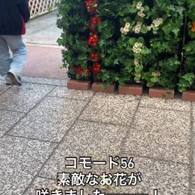 2025/03/30の画像