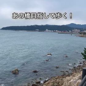 2025/03/15の画像