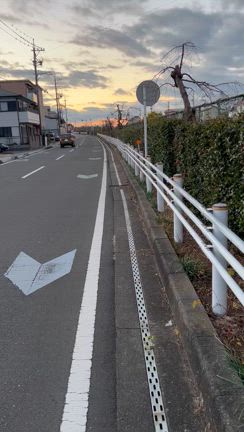 ごみ拾い 第674回  新トングの記事動画