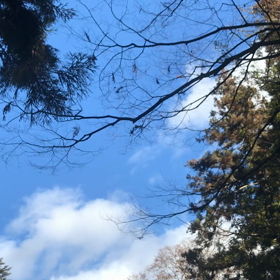 あけましておめでとうございますの画像