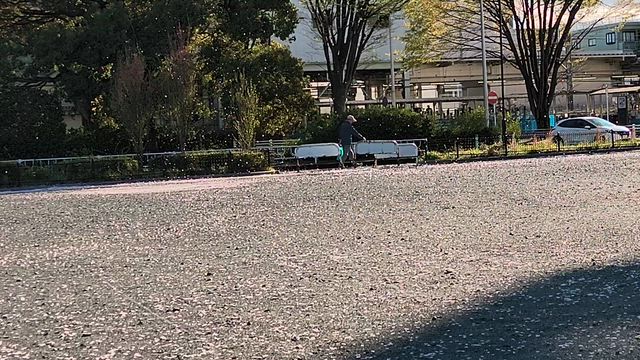 今夜はピンクムーンの記事動画