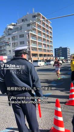 わんこと初詣の記事動画