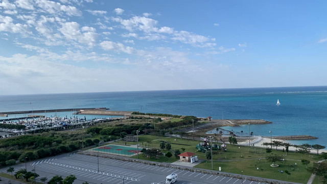 車が運転できない私と母の沖縄旅行の記事動画