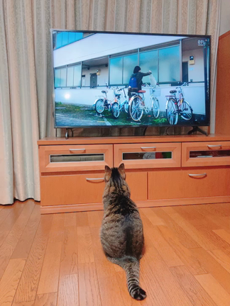 二月の勝者☆の記事動画
