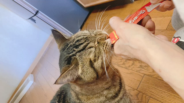 ちゅ〜る☆の記事動画