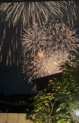 今年の花火は新しい家族との記事動画